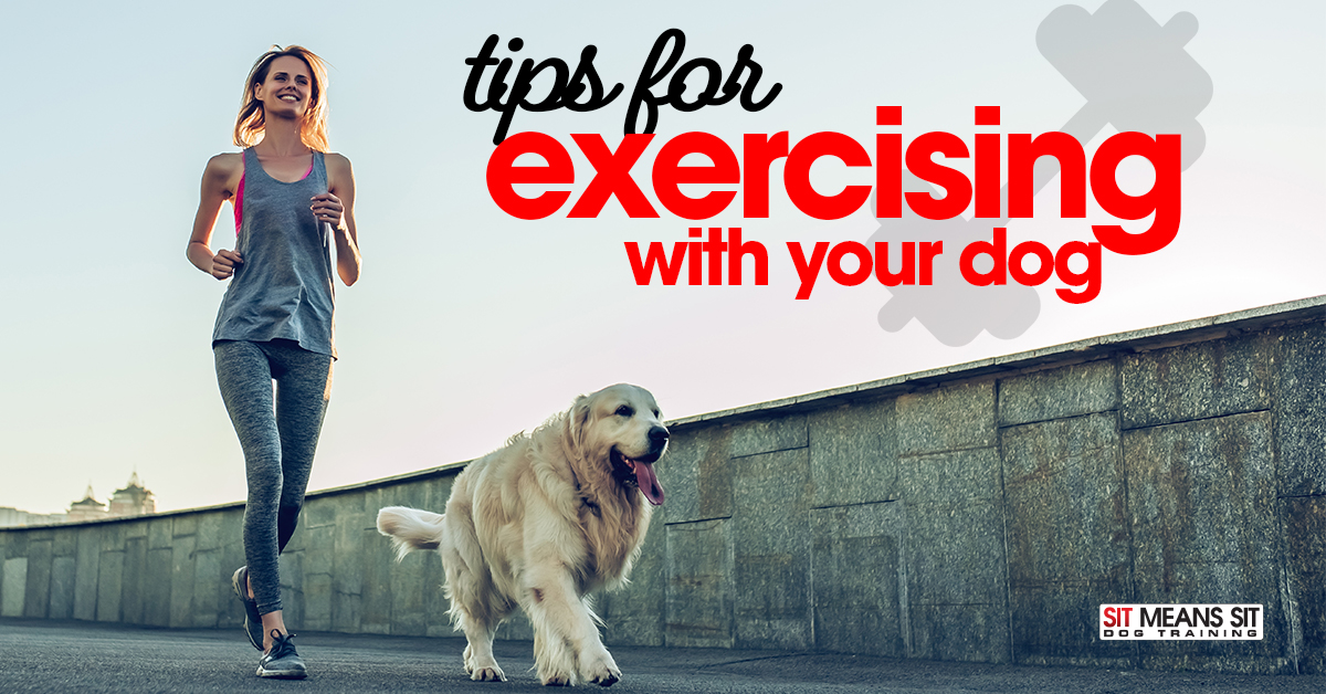 Tips for Exercising with Your Dog