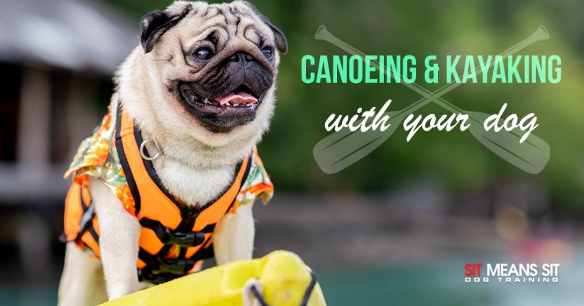 Tips for Canoeing or Kayaking with Dogs