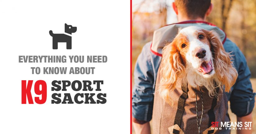 Everything You Need To Know About K9 Sport Sacks