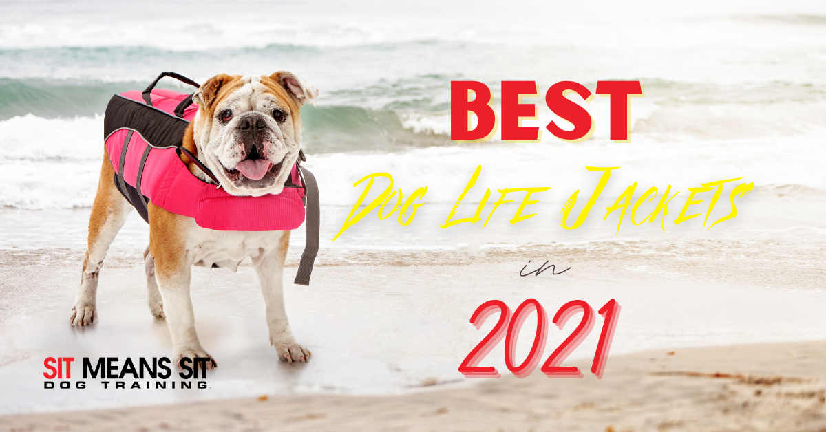 Best Dog Life Jackets for 2021