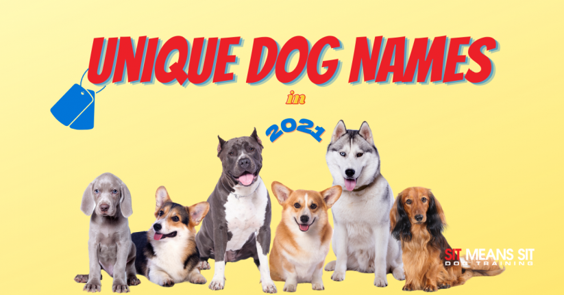 2021 Unique Dog Names