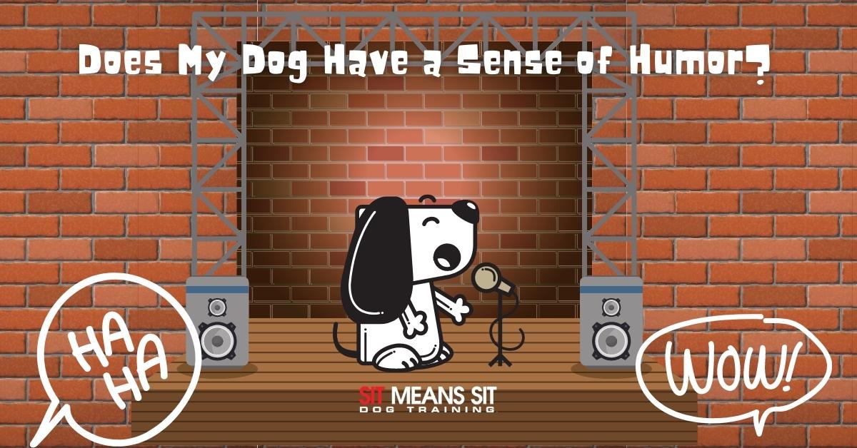 Does Your Dog Have a Sense of Humor?