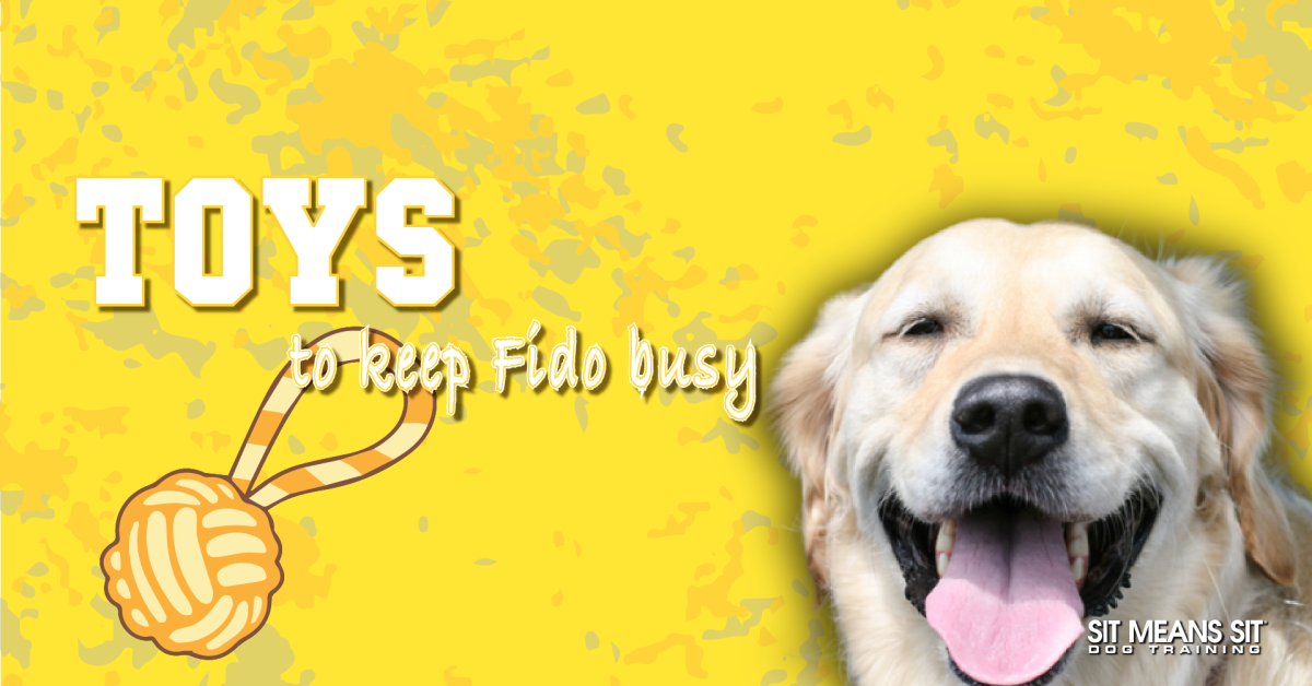 Toys to keep fido busy text in white with yellow background