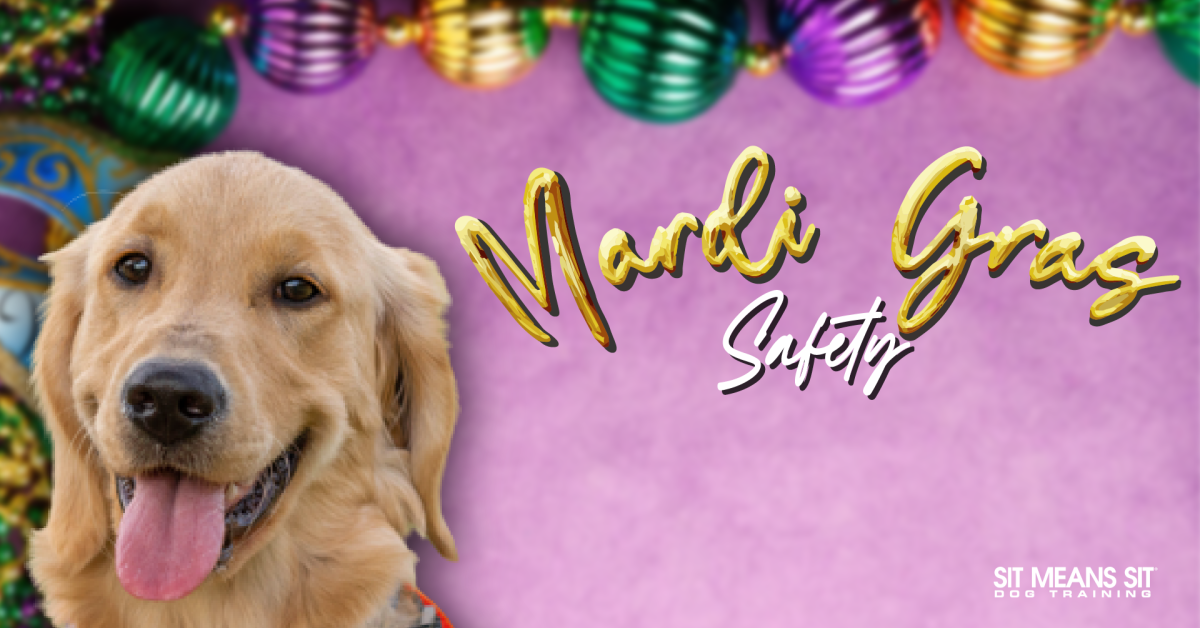 Mardi Gras safety