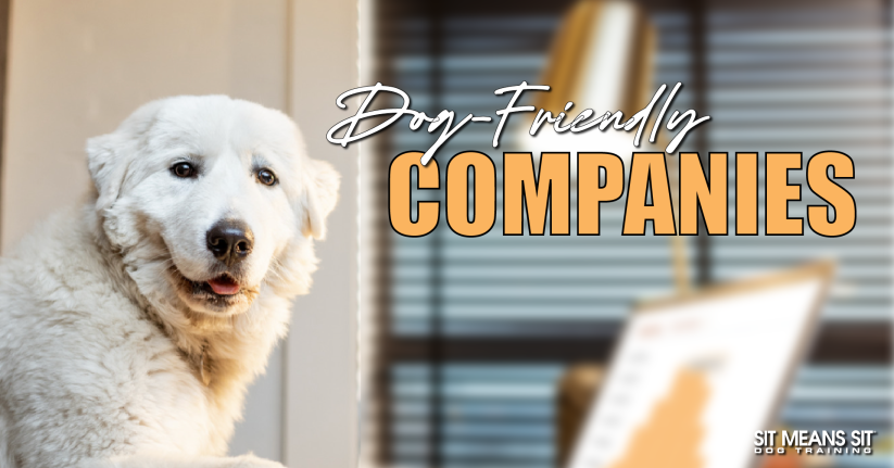 Dog friendly companies banner