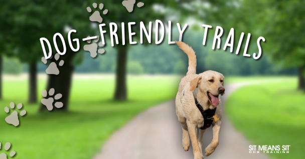 Dog friendly trails banner