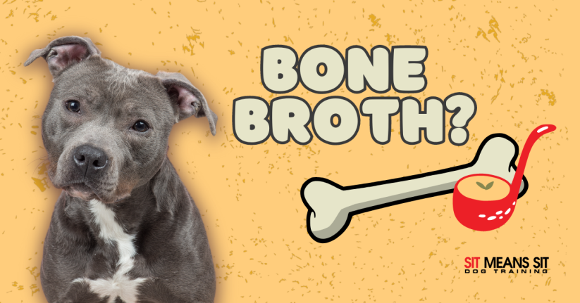 Should I Give My Dog Bone Broth?
