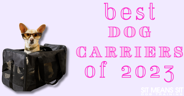 best dog carriers of 2023