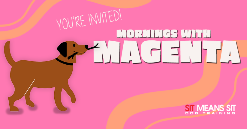 Mornings With Magenta: A Group Dog Walk