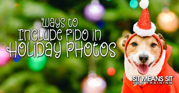 Creative Ways To Include Fido In Your Holiday Photos