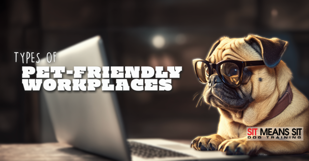 What Are The Different Types of Pet-Friendly Workplaces?