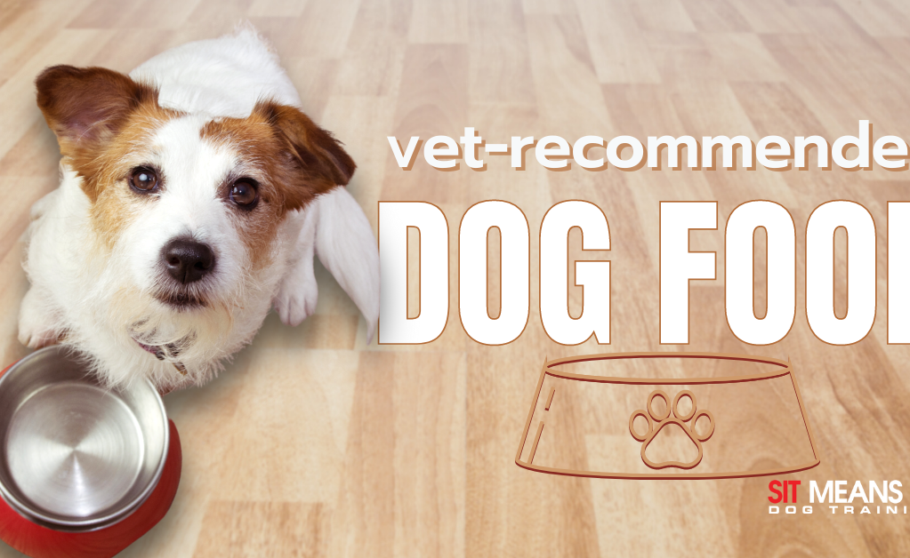 A dog sits next to an empty bowl, promoting vet-recommended dog food.