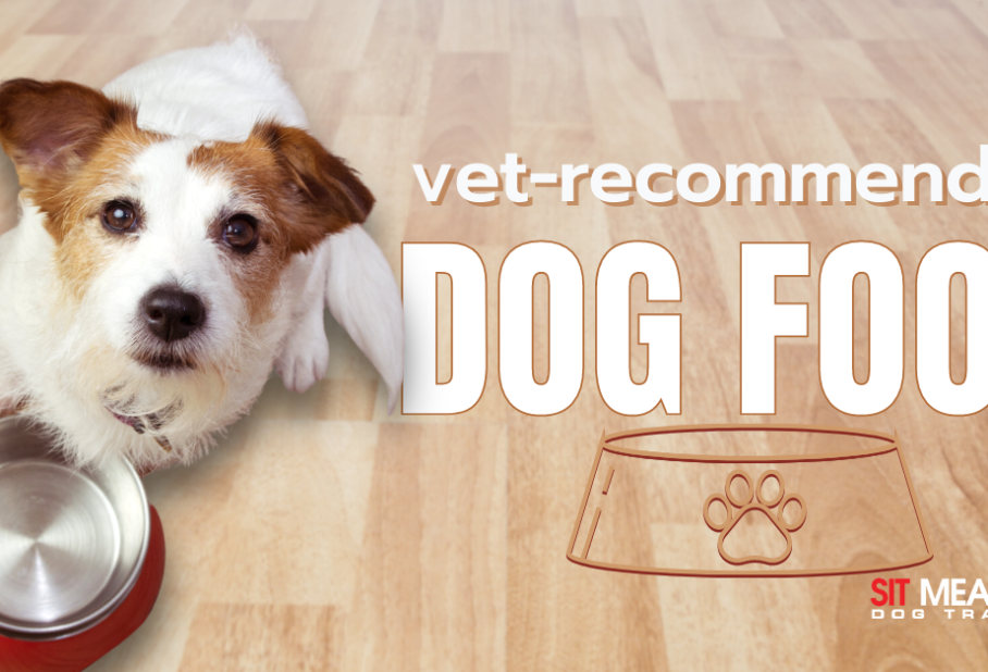 A dog sits next to an empty bowl, promoting vet-recommended dog food.