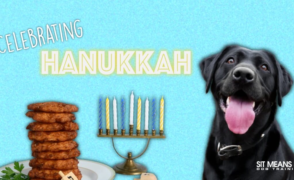 A cheerful black dog beside a plate of food and a menorah, with "Celebrating Hanukkah" text above.