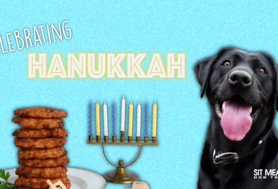 A cheerful black dog beside a plate of food and a menorah, with "Celebrating Hanukkah" text above.
