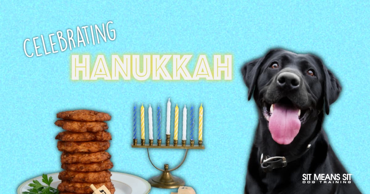 A cheerful black dog beside a plate of food and a menorah, with "Celebrating Hanukkah" text above.