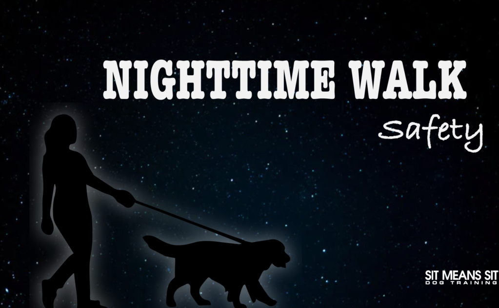 Silhouette of a person walking a dog under a starry night sky, emphasizing nighttime walk safety.
