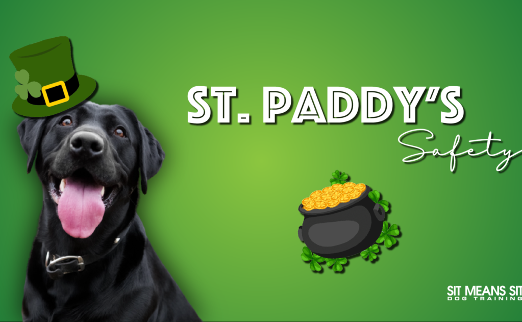 A black dog wearing a green leprechaun hat with "St. Paddy's Safety" text and a pot of gold on a green background.
