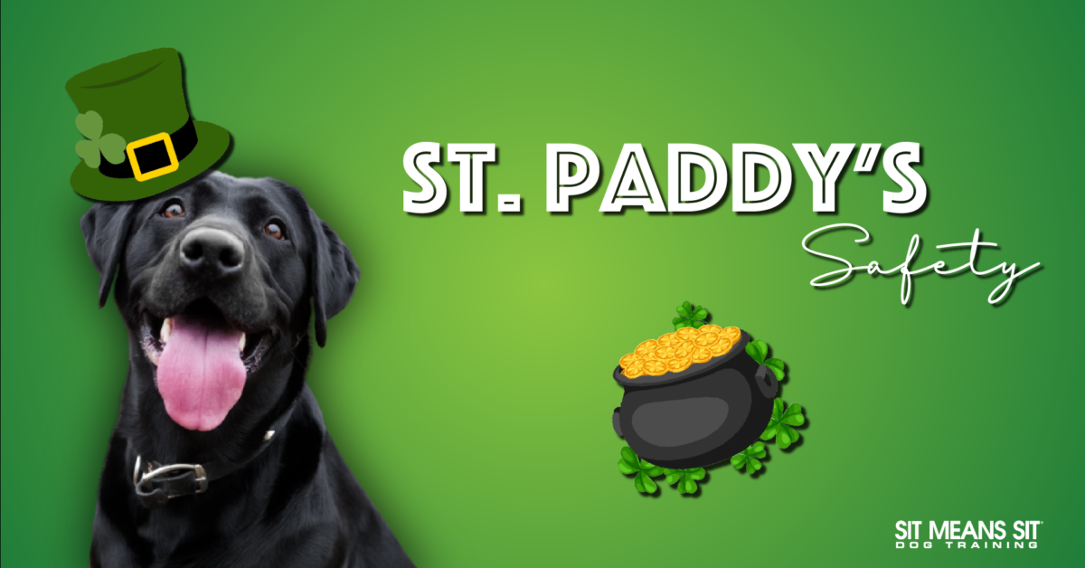 A black dog wearing a green leprechaun hat with "St. Paddy's Safety" text and a pot of gold on a green background.