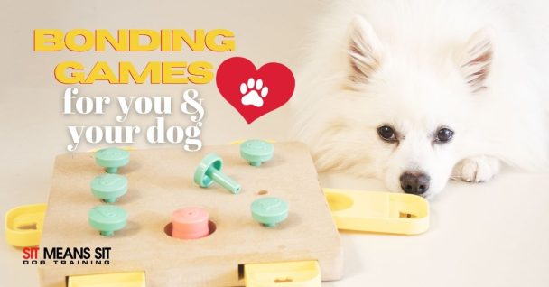 Bonding Games For You and Your Puppy