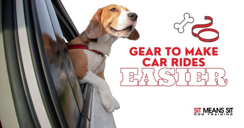 Travel Gear for Dogs that Will Make Your Car Rides Easier