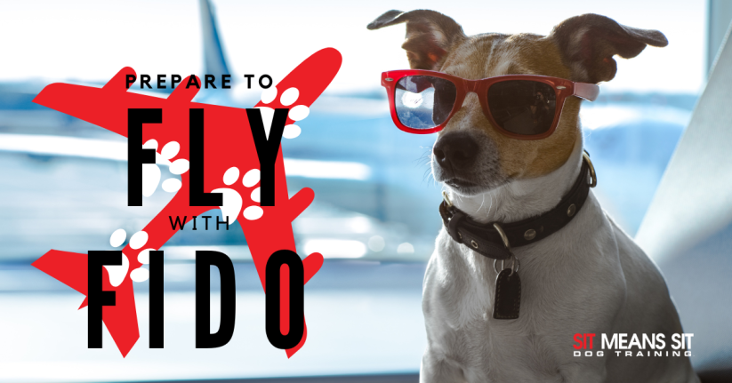 a dog wearing sunglasses is on a poster that says prepare to fly with fido