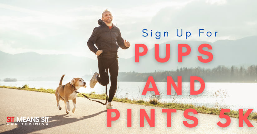 sign up for pups and pints 5k with a man running with his dog