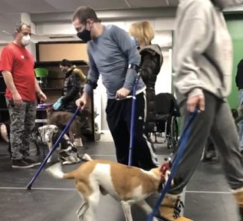 dog training stamford ct, Neil Sit Means Sit, Dog Training, dog training fairfield ct, dog training greenwich ct, Puppy training, Group dog training