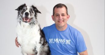Dog Training Specialist - Neil Cohen with Habanero