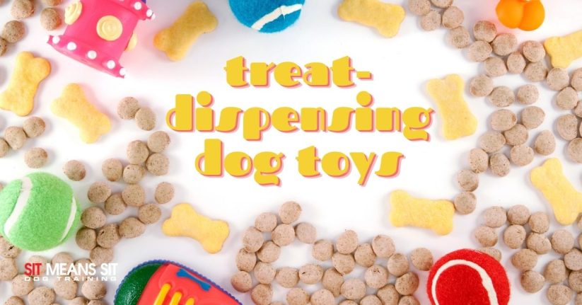 Best Treat Dispensing Dog Toys 2021