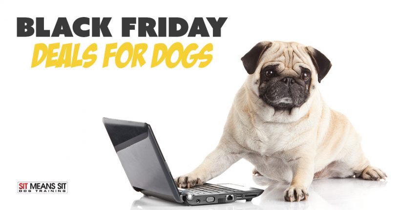 Black Friday Deals for Dogs