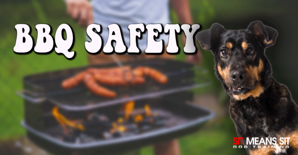 Tips For Keeping Fido Safe At The Summer BBQ