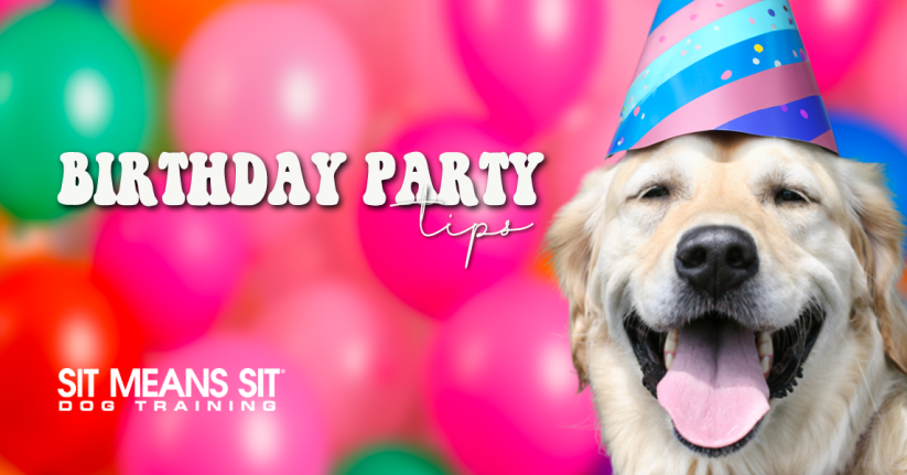 Tips For Throwing Your Dog A Birthday Party
