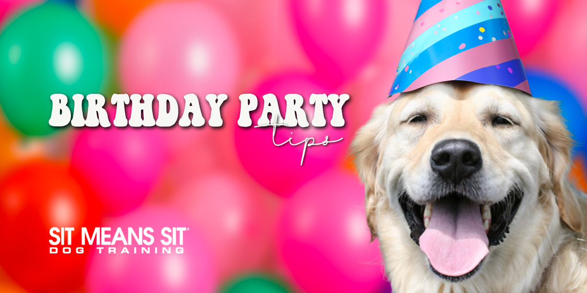 Tips For Throwing Your Dog A Birthday Party