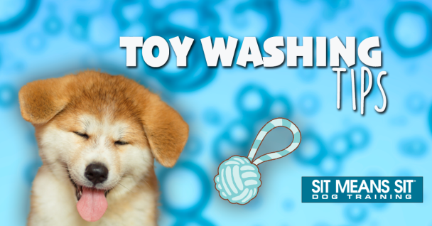 A playful puppy with closed eyes and a happy expression, accompanied by text about toy washing tips.