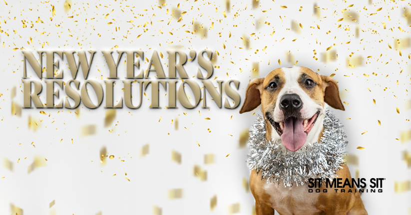 New Year's Resolutions For Pet Parents 2024