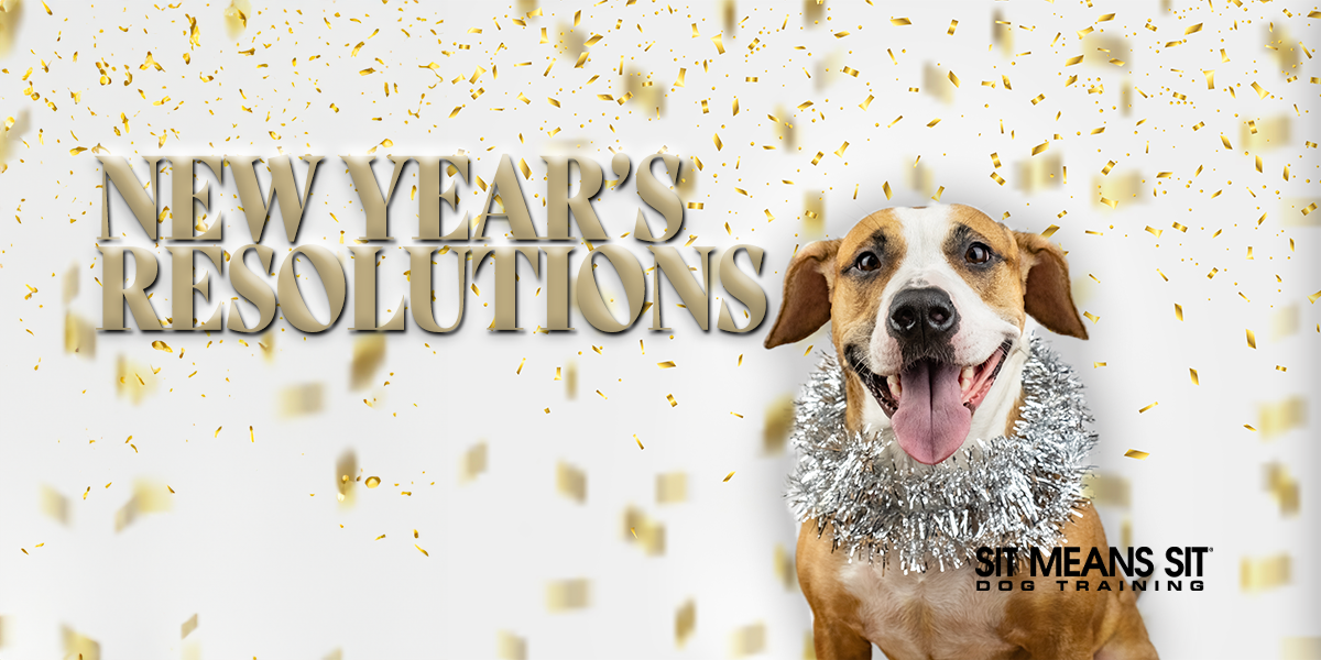 New Year's Resolutions For Pet Parents 2024