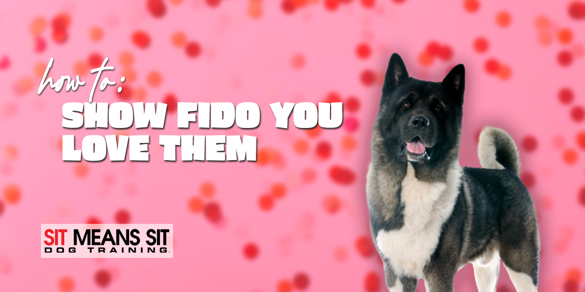 How To Show Fido You Love Them This Valentine's Day