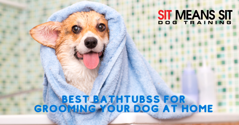 The Best Bathtubs for Grooming Your Dog At Home