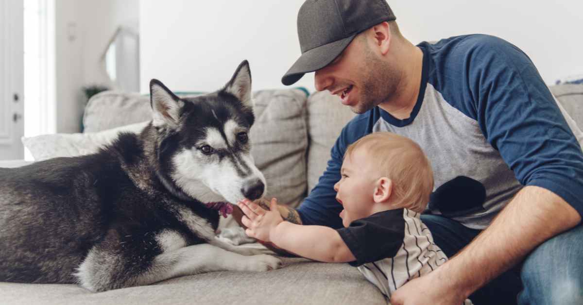 What to Get Your Dog-Loving Dad for Father's Day