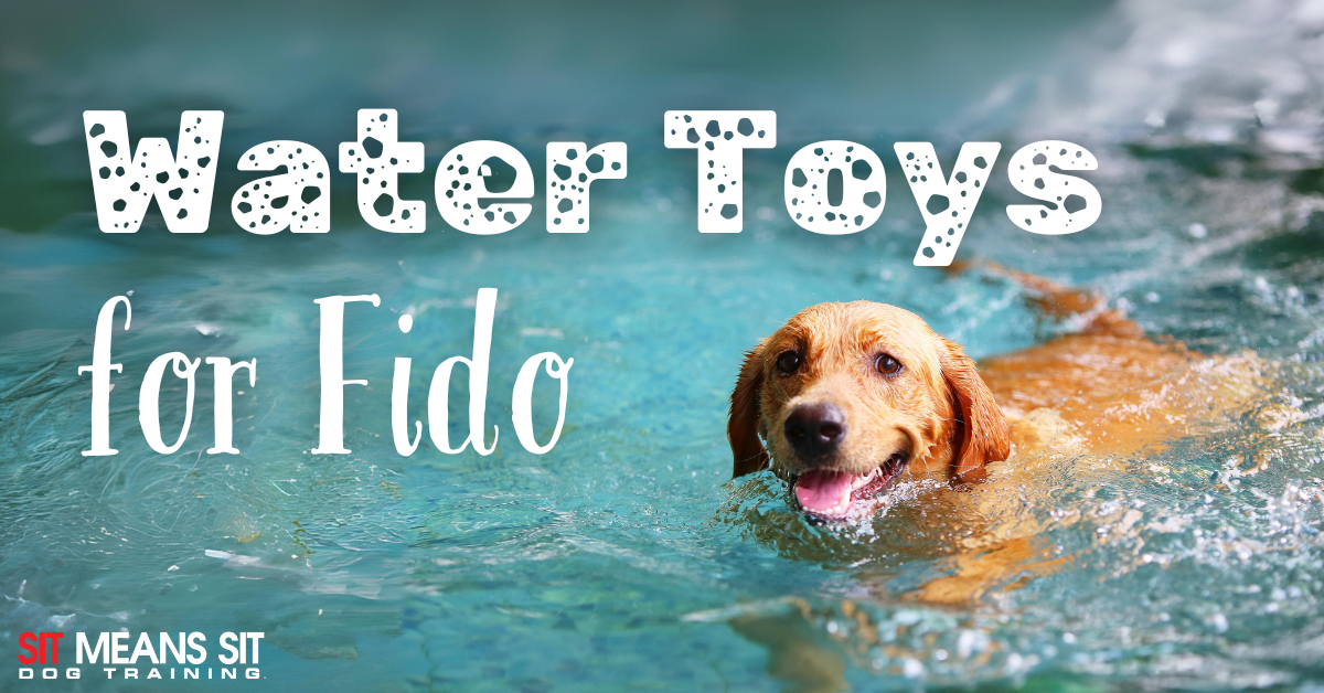 A happy dog swimming in a pool, accompanied by the text "Water Toys for Fido."