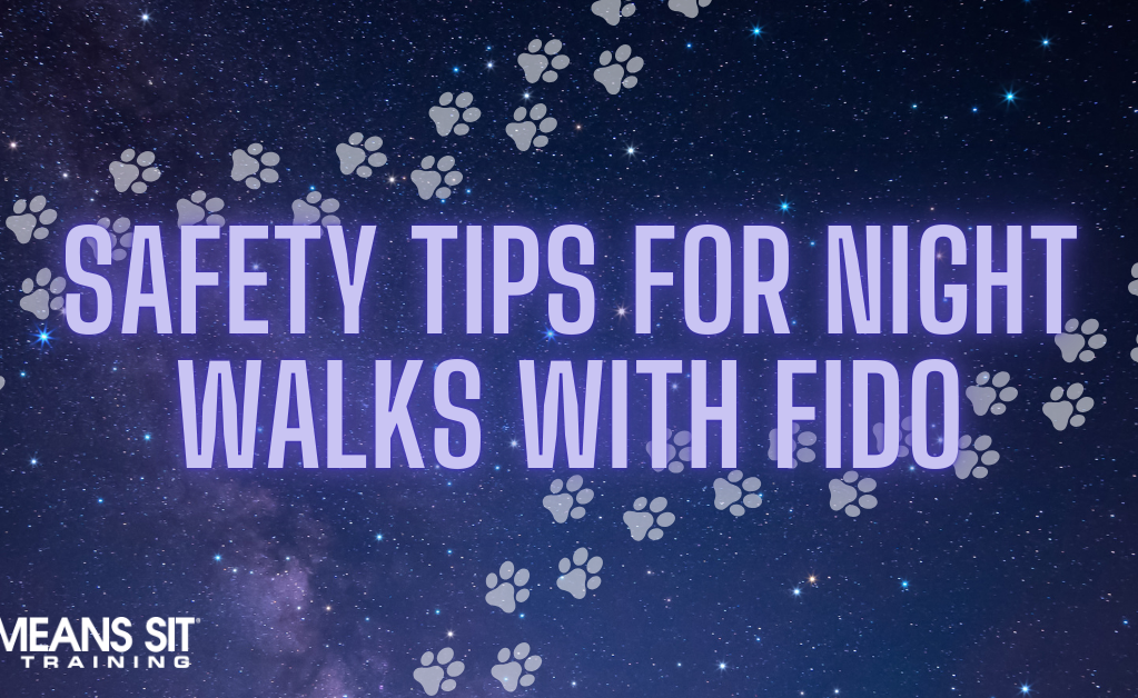 Text on a starry background: "Safety Tips for Night Walks with Fido" with paw prints.