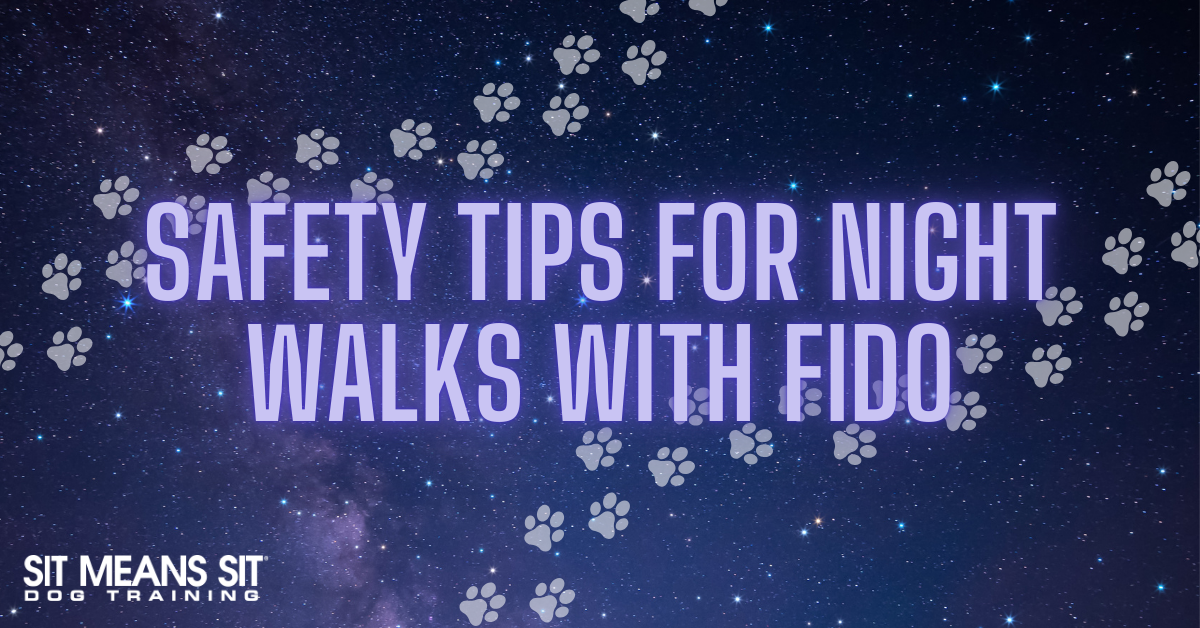 Text on a starry background: "Safety Tips for Night Walks with Fido" with paw prints.
