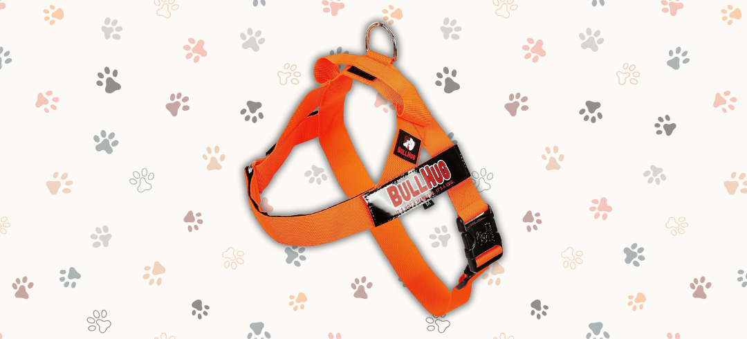 The Best Harnesses for Dogs