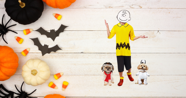 Matching Halloween Costumes for You and Your Dog