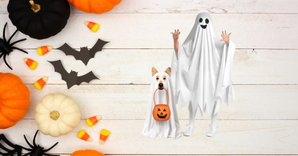 Matching Halloween Costumes for You and Your Dog