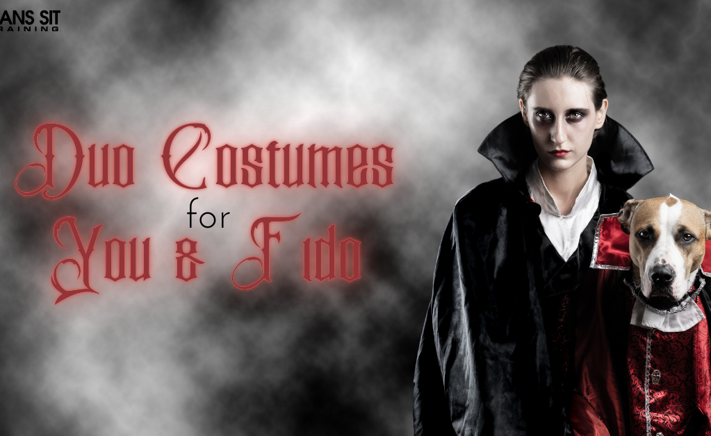 A person in a vampire costume poses with a dog in a matching outfit, with a misty background.