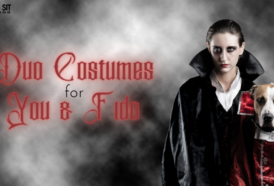 A person in a vampire costume poses with a dog in a matching outfit, with a misty background.