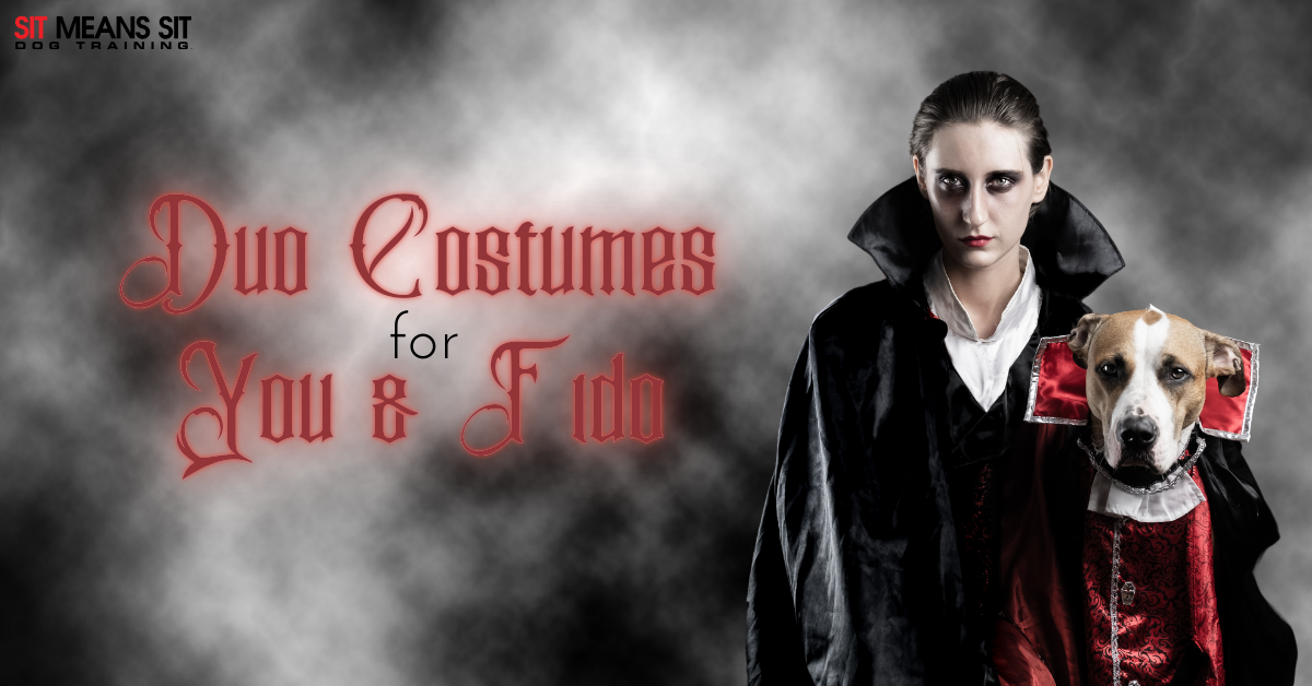 A person in a vampire costume poses with a dog in a matching outfit, with a misty background.