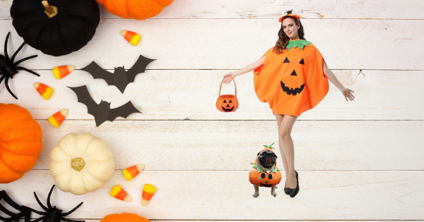 Matching Halloween Costumes for You and Your Dog